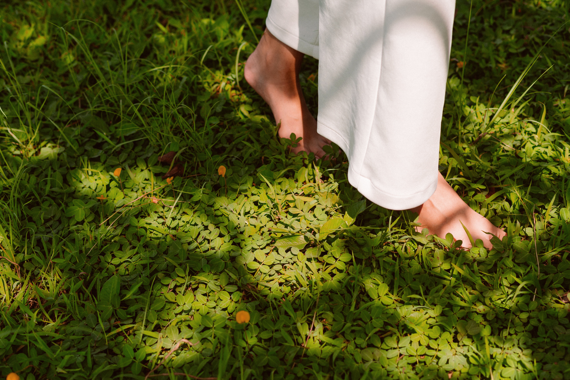 The Wellness Reset: A 7-Day Aromatherapy Challenge