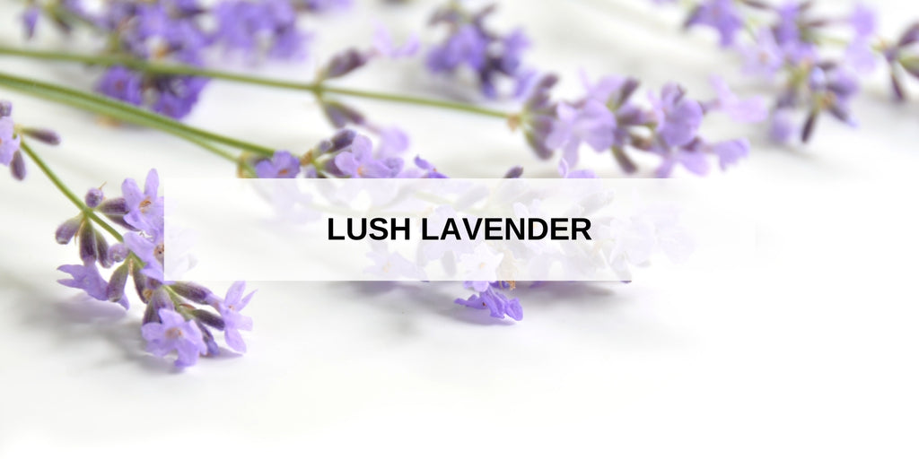 Lush Lavender