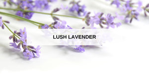 Lush Lavender