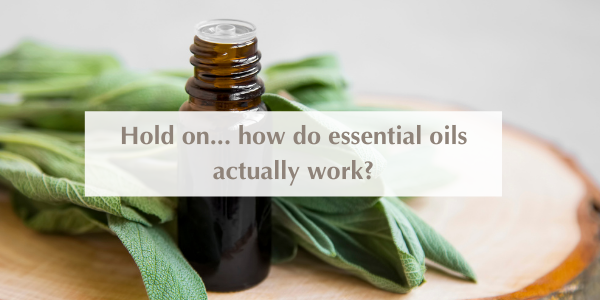Hold on... how do essential oils actually work?