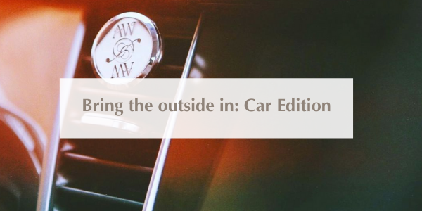 Bring the outside in: Car Edition