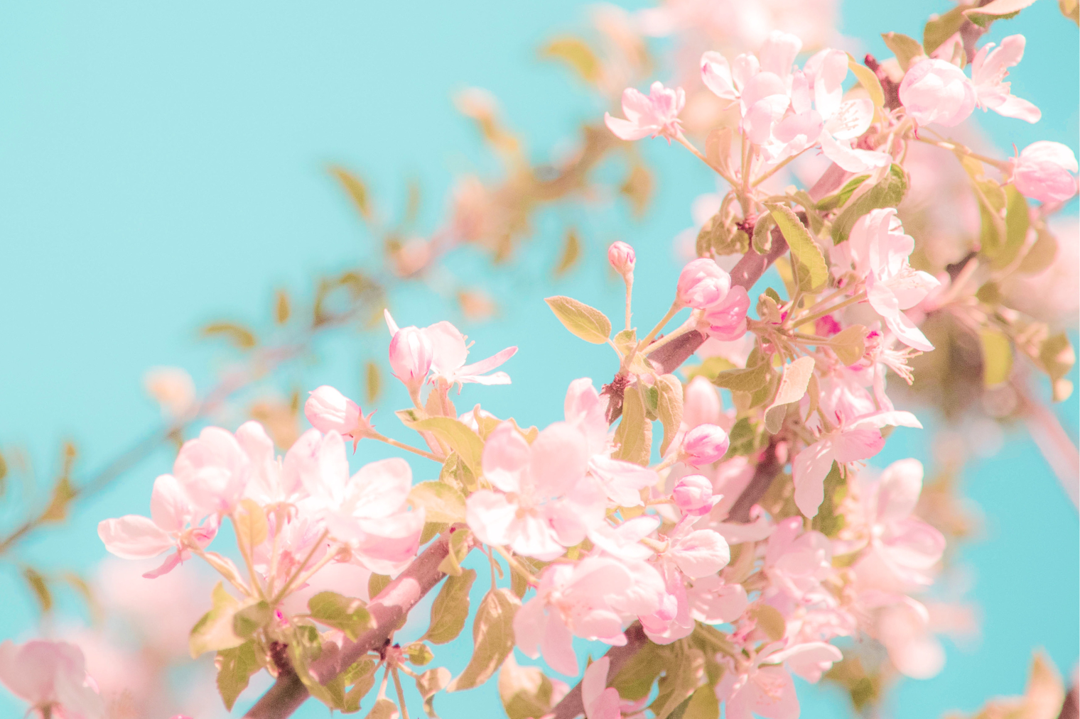 May Bank Holidays: Soothe Your Senses & Refresh Your Spirit