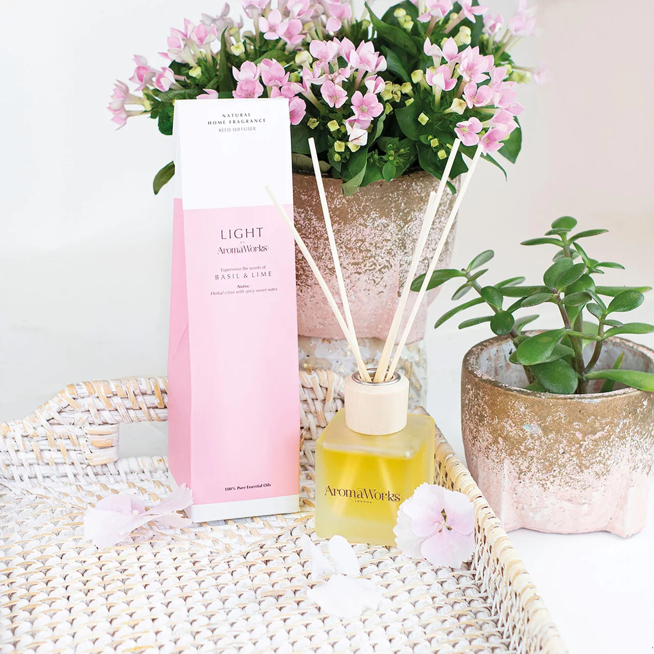Light Range Basil & Lime Reed Diffuser 100ml